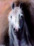 by paula dudzik