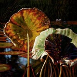 by John Lautermilch