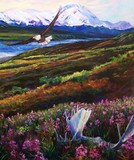 by Aimée Robinson