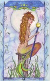 by Dawn  Dovell