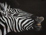by d Mac'Carthy