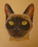 by Adele  Beverley