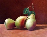 by Ton van Meerendonk