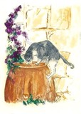by jill madgwick