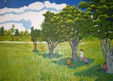 by jamil zamri t k zamri