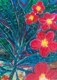 by Cindy Hunt