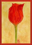 by Suelene Rebouças
