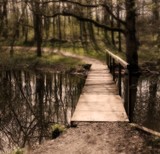 by Duncan James