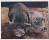 by Joan  Wulff