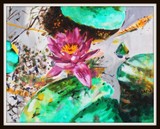 by Debi Allison (D.Day)