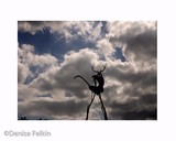 by Denise Felkin
