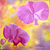 by Julieanne Case