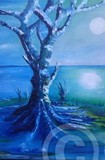 by husham khalsan