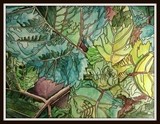 by Sharla Derry