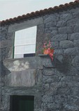 by Fernando Machado
