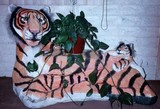 by Oxaya C lofgreen