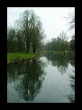 by geert-jan tielen