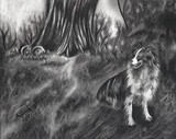 by Ashley Spilman