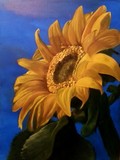 by Rita Benz