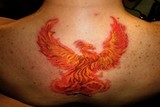 by Chris Aleman