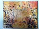 by christina ward