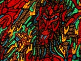 by samuel bohorquez