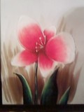 by saurabh  dutt jha