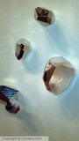 by Christine Feld