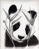 by Elizabeth Butler