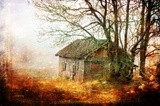 by Randi Grace Nilsberg