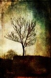 by Randi Grace Nilsberg