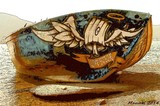 by Manuel surrealist