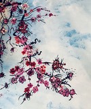 by Wendy Allen