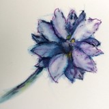 by Dana Koffenberger