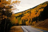 by Randy Schwanke