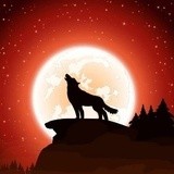 by Animal Wall Art