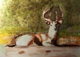 by eileen martin