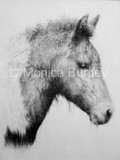 by Monica Burtley