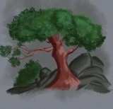 by Tayyba  Iftikhar 