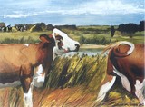 by connie van winssen