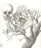 by S. JoBeth  Sexton