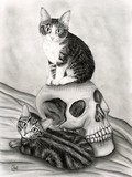 by Carrie Hawks