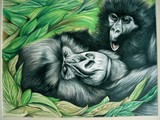by ryan campbell