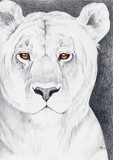 by MaKayla Songer