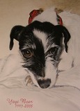 by Belinda Matthews