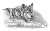 by Svetlana Ledneva-Schukina