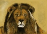 by Daniel Venter