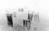 by Edward Bajgerowicz