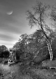 by DAVID GRIFFITHS