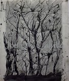 by Jose Calvillo